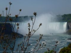 Niagara_Falls__6_.JPG