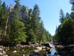 Yosemite_Park__6_.JPG